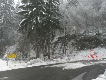Cesta Iška - Gornji Ig ODPRTA