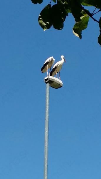 Šola za starše - Zdravstveni dom Slovenj Gradec