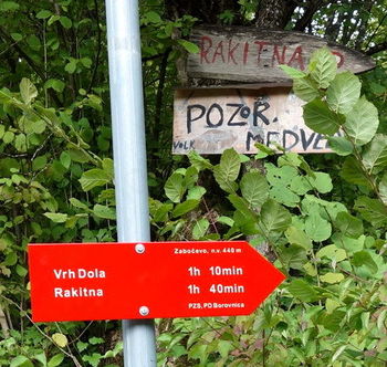 Celarcu še en mandat