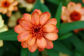 8. marec