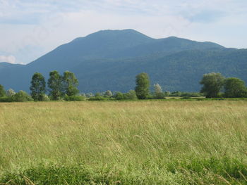 Prenovljena zgibanka o Občini Ig Prenovljena zgibanka o Občini Ig