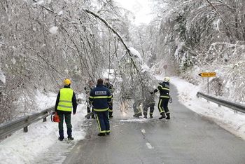 Informativno izobraževanje za lastnike gozdov