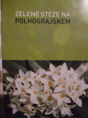 Zelene steze na Polhograjskem 