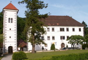 Kdaj bo Polhograjska graščina znova v občinski lasti, je le še vprašanje časa
