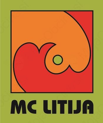 MC Litija in Klub Litijskih in Šmarskih študentov objavljata razpis za sofinanciranje mladinskih programov/ projektov v letu 2015