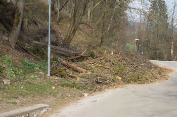 Posledice okoli jezera.