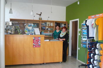 Na Bledu nastaja nov TIC