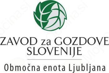 Poziv lastnikom gozdov za sanacijo po žledolomu