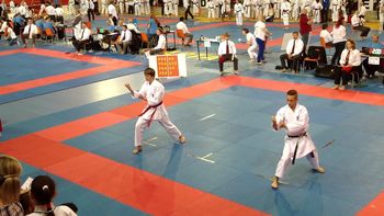 Evropsko prvenstvo otrok in veteranov v Pragi 2014