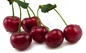 Poletni urnik na vrhniški tržnici