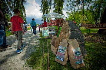 Srce Slovenije med tulipani v Arboretumu Volčji Potok