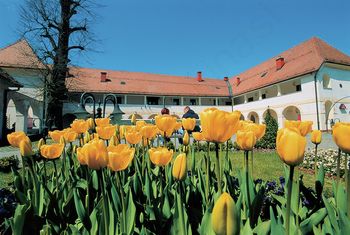 IZOBRAŽEVANJE ZA TURISTIČNE VODNIKE