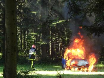 Kačani spet zelo dejavni