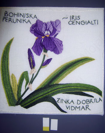 Alpsko cvetje že osmič