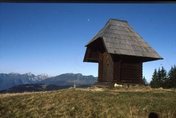  razstave fotografij