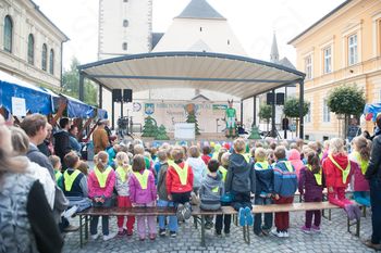 POVABILO K SOOBLIKOVANJU PROGRAMA OB OBČINSKEM PRAZNIKU