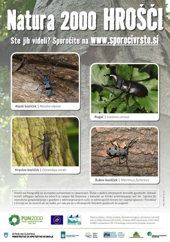 Vsi lahko sodelujemo pri beleženju vrst