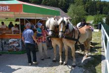 Nova naravoslovna učna pot PO SLEDEH VODOMCA pod vasjo Cerovo