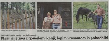 PLANINA KOROŠICA JE ŽIVA Z GOVEDOM, KONJI, LEPIM VREMENOM IN POHODNIKI 