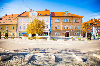 Slovenj Gradec bo dobil nove turistične vodnike