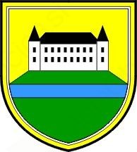 Znani kandidati za lokalne volitve 