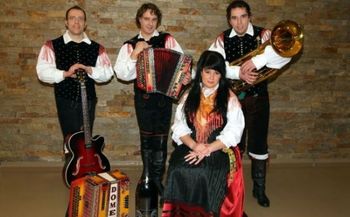 Ansambel Vižarji