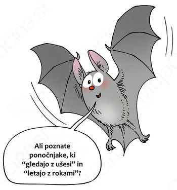 Spoznajte netopirje v Podkraju