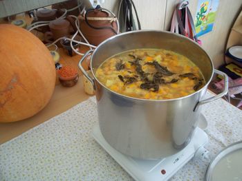 BUČNA JUHA PRIJATELJSTVA