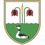Uradni rezultati lokalnih volitev 2014