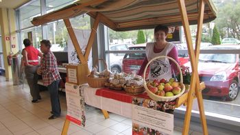 Dobrodelna akcija Drobtinica v Sevnici