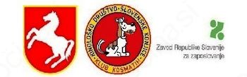 Najdeni mačji mladič(i)
