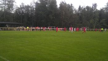 Ograja služi svojemu namenu
