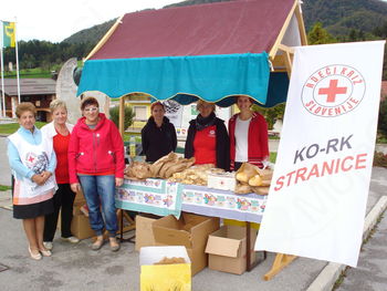 Stojnica OŠ Stranice