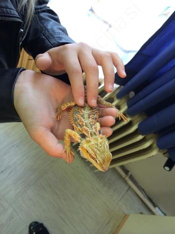Mini živalski vrt na Prvi osnovni šoli Slovenj Gradec Mini živalski vrt na Prvi osnovni šoli Slovenj Gradec