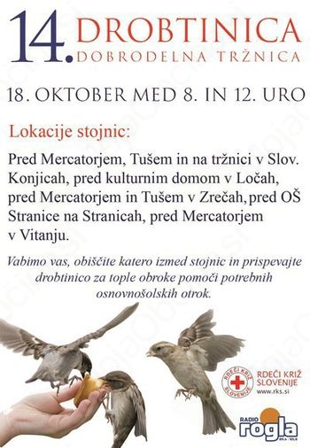 14. DROBTINICA