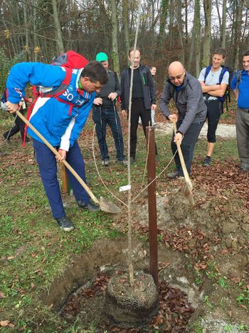 Hoja ni samo brezglavo tekanje v naravi Hoja ni samo brezglavo tekanje v naravi