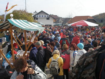 LEVSTIKOVA POT, POPOTOVANJE OD LITIJE DO ČATEŽA PRESTAVLJENA!