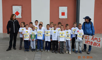 Ljubljanski maraton 