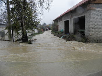 Nova struga v Brestu