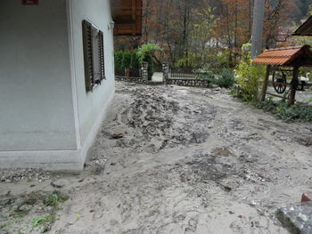 V Občini Ig poteka intenzivno čiščenje 
