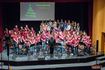 Novoletno - božični koncert orkestrov GŠSK