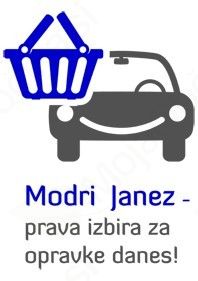 Pomoč pri nakupovanju in gospodinjskih opravilih za starejše in invalide