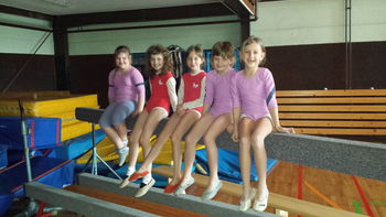 ŠOLSKO TEKMOVANJE V GIMNASTIKI