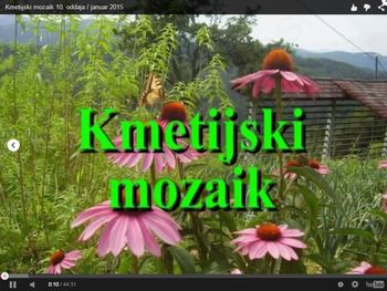 Nove video vsebine na spletni strani