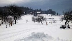 Tekaške proge v ivanškem koncu