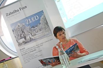 Z izidom knjige spomnili na lanskoletni žled