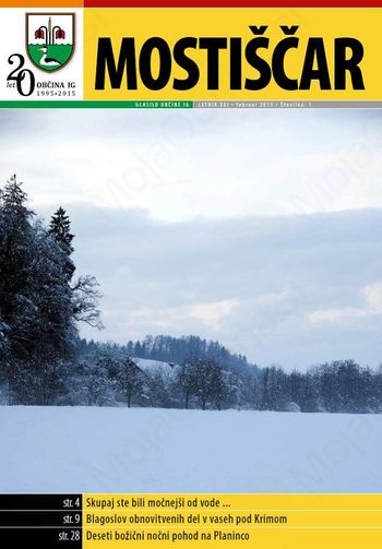 Mostiščar februar 2015
