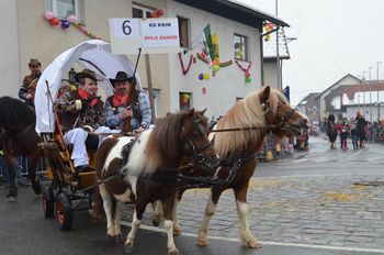 17. Podkrimski pustni karneval uspešno zaključen