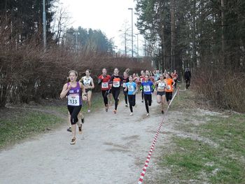 Prvenstvo Slovenije v krosu 