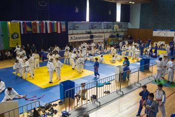 VII. POKAL GUŠTANJ